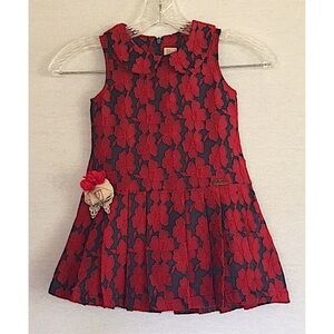 Lilax red blue floral sleeveless dress with pin